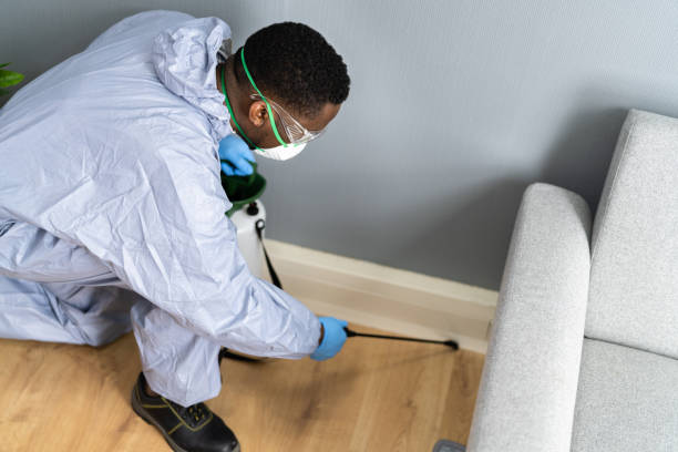 Trusted Oroville, CA Pest Control Experts